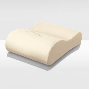 Tempur-Pedic Travel Neck Pillow with strapped carry case.